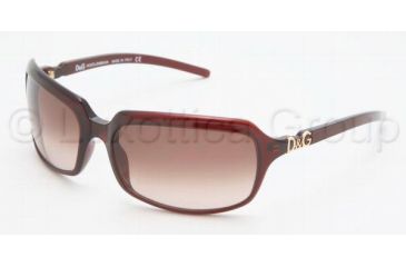 d&g sunglasses womens